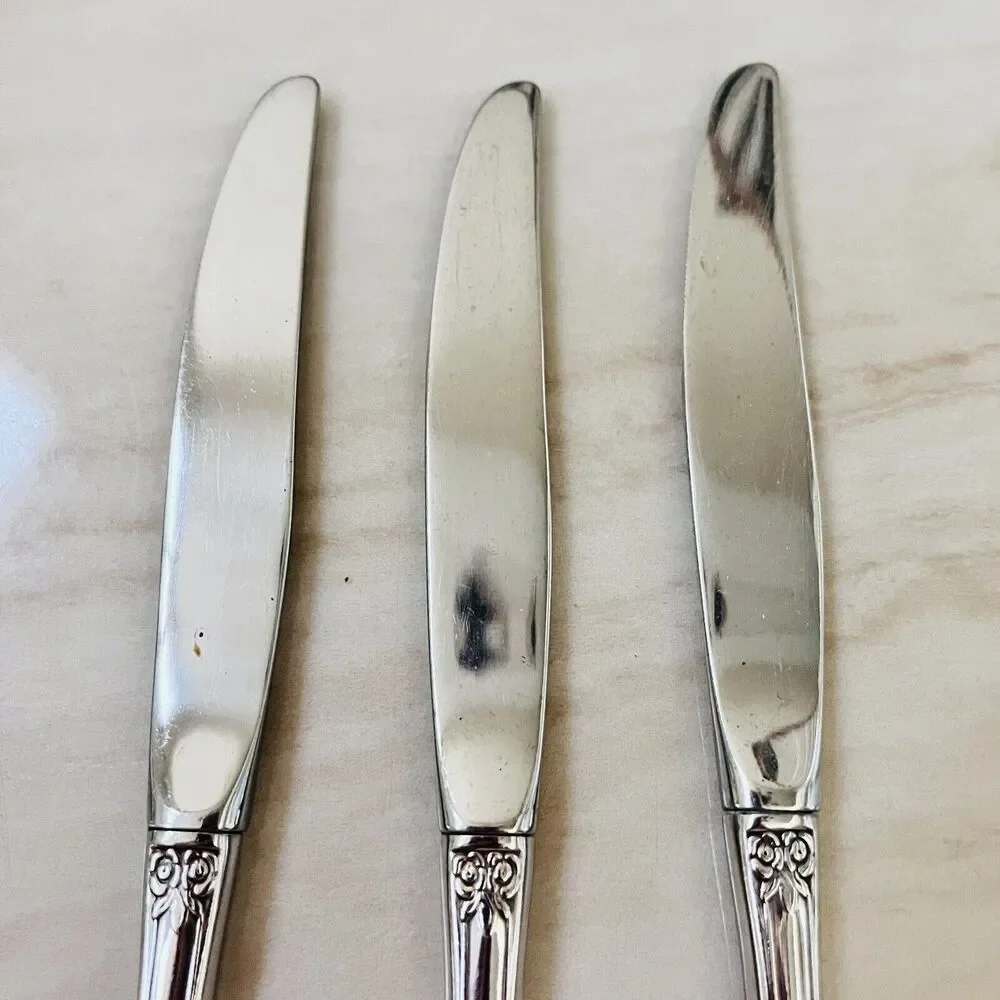 ONEIDA Renoir-Pembrooke Stainless Sss 1991 Floral Pierced Dinner Knife 3pc USA